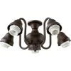 Fort Worth LED Oiled Bronze Fan Light Kit