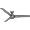 Cassius 52 Inch Matte Silver With Matte Silver/Black Willow Blades Outdoor Ceiling Fan