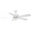 Camhaven V2 52.00 Inch Outdoor Fan