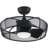 Henry 20 Inch Black Indoor/Outdoor Ceiling Fan