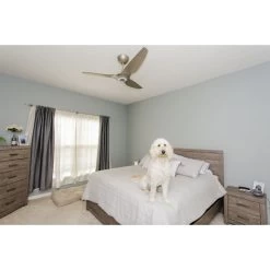 Electric Fan Promotion Store -Electric Fan Promotion Store haiku indoor satin nickel universal mount