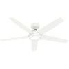 Zayden 52 Inch Fresh White Ceiling Fan
