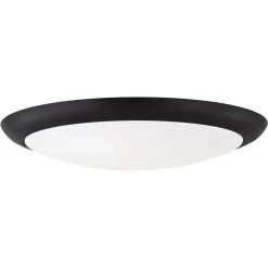 Hugger Light Kit Fan Light Kit