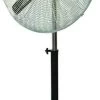 30-Inch Black High-Velocity Pedestal Fan