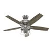 Ananova 52 Inch Brushed Nickel With Light Gray Oak Blades Ceiling Fan