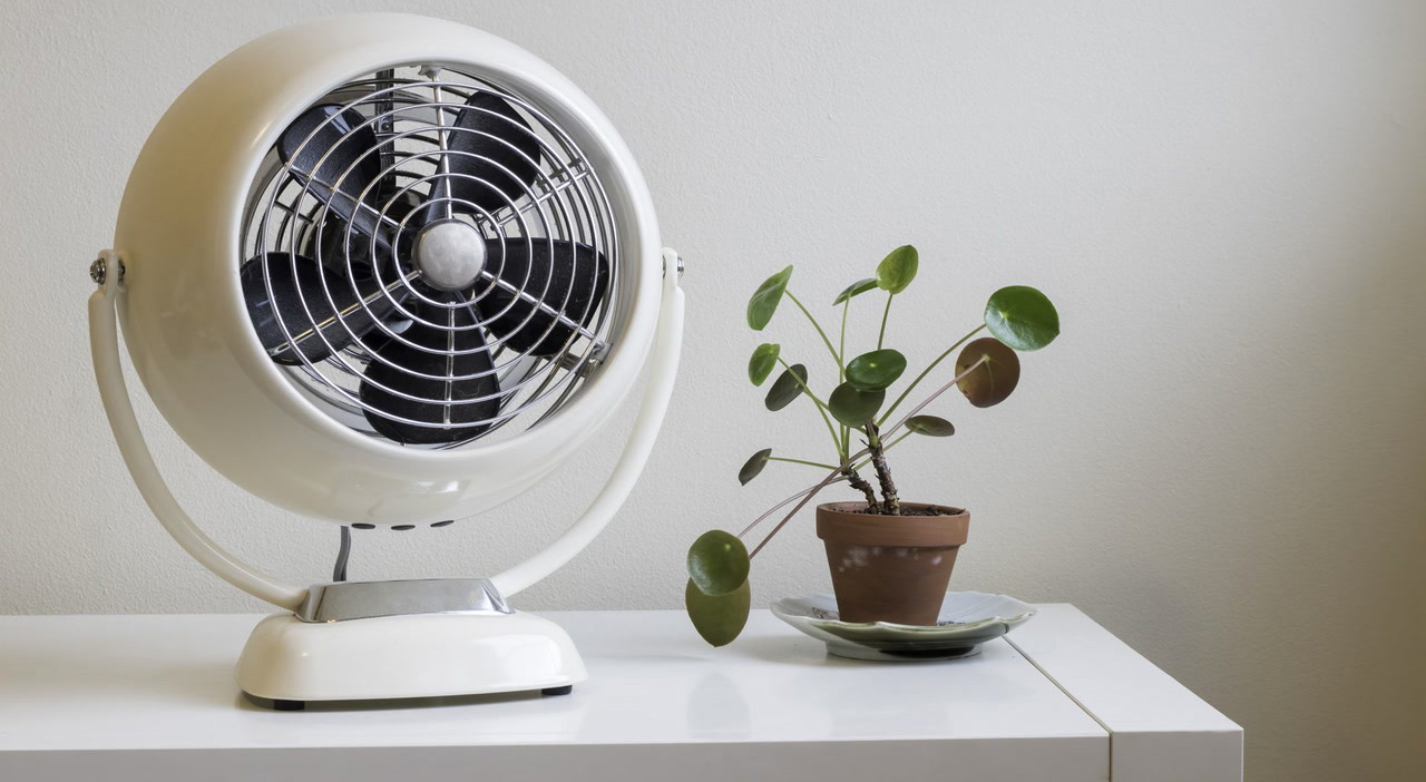 Electric Fan Promotion Store -Electric Fan Promotion Store 1